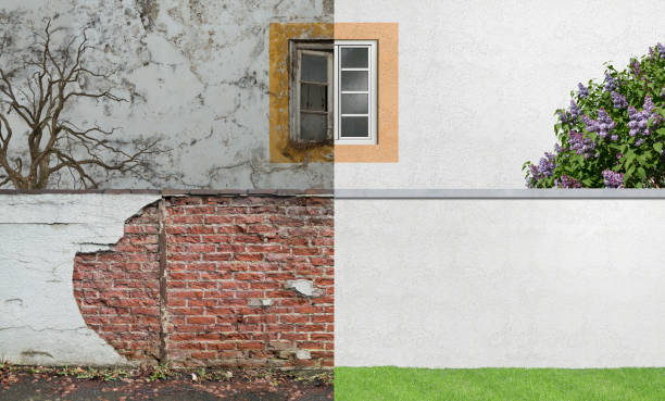 Professional Mold Removal in Berkley, MI